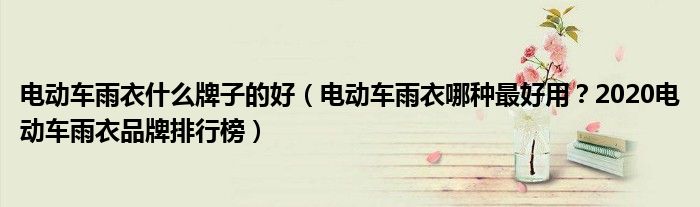 电动车雨衣什么牌子的好（电动车雨衣哪种最好用？2020电动车雨衣品牌排行榜）