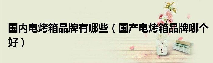 国内电烤箱品牌有哪些（国产电烤箱品牌哪个好）