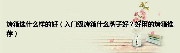 烤箱选什么样的好（入门级烤箱什么牌子好？好用的烤箱推荐）
