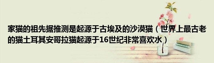家猫的祖先据推测是起源于古埃及的沙漠猫（世界上最古老的猫土耳其安哥拉猫起源于16世纪非常喜欢水）