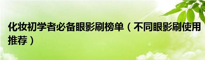 化妆初学者必备眼影刷榜单（不同眼影刷使用推荐）