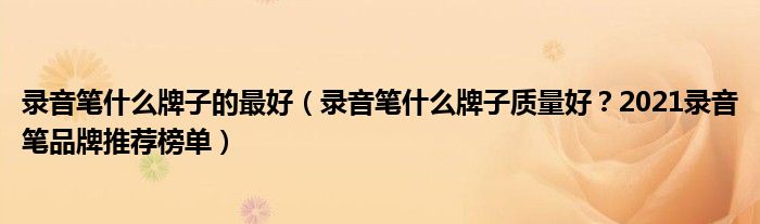 录音笔什么牌子的最好（录音笔什么牌子质量好？2021录音笔品牌推荐榜单）