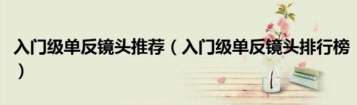 入门级单反镜头推荐（入门级单反镜头排行榜）