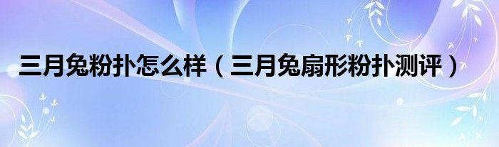 三月兔粉扑怎么样（三月兔扇形粉扑测评）