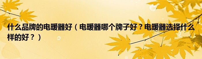 什么品牌的电暖器好（电暖器哪个牌子好？电暖器选择什么样的好？）