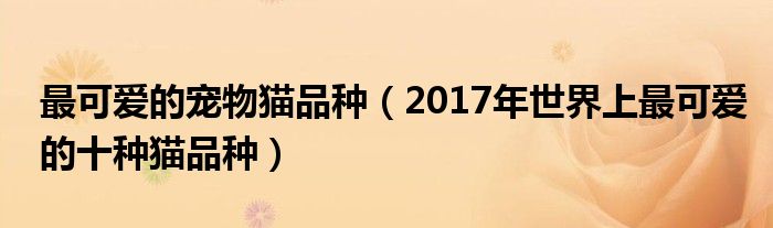 最可爱的宠物猫品种（2017年世界上最可爱的十种猫品种）
