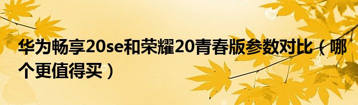 华为畅享20se和荣耀20青春版参数对比（哪个更值得买）