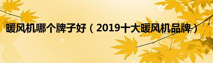 暖风机哪个牌子好（2019十大暖风机品牌）