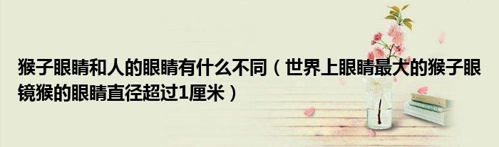 猴子眼睛和人的眼睛有什么不同（世界上眼睛最大的猴子眼镜猴的眼睛直径超过1厘米）
