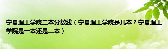 宁夏理工学院二本分数线（宁夏理工学院是几本？宁夏理工学院是一本还是二本）