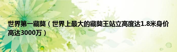 世界第一藏獒（世界上最大的藏獒王站立高度达1.8米身价高达3000万）