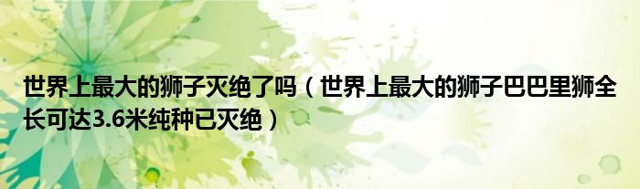 世界上最大的狮子灭绝了吗（世界上最大的狮子巴巴里狮全长可达3.6米纯种已灭绝）