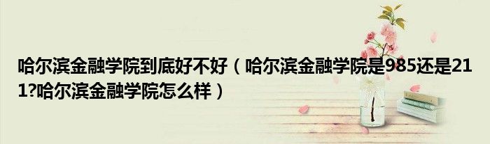 哈尔滨金融学院到底好不好（哈尔滨金融学院是985还是211?哈尔滨金融学院怎么样）