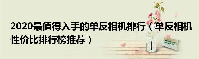 2020最值得入手的单反相机排行（单反相机性价比排行榜推荐）