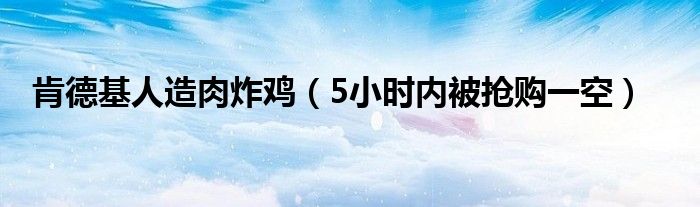 肯德基人造肉炸鸡（5小时内被抢购一空）