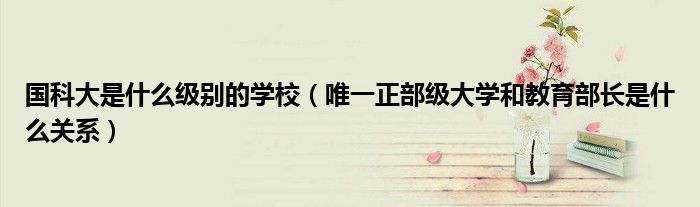 国科大是什么级别的学校（唯一正部级大学和教育部长是什么关系）