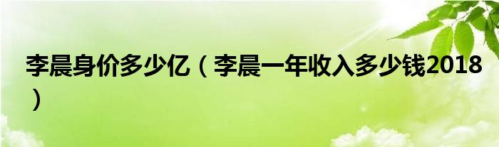 李晨身价多少亿（李晨一年收入多少钱2018）