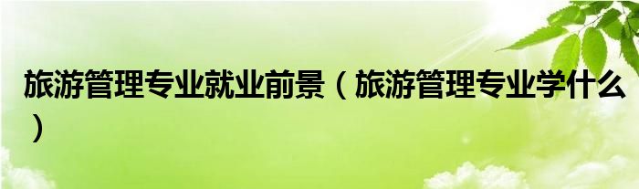 旅游管理专业就业前景（旅游管理专业学什么）
