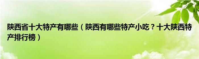 陕西省十大特产有哪些（陕西有哪些特产小吃？十大陕西特产排行榜）