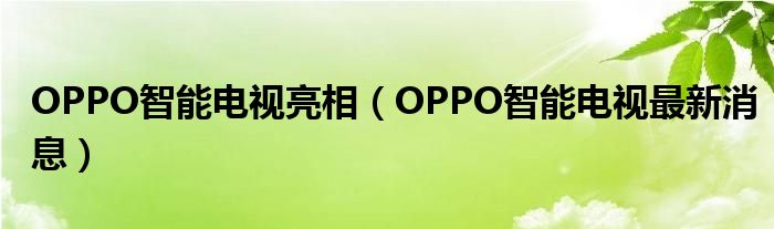 OPPO智能电视亮相（OPPO智能电视最新消息）