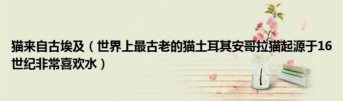 猫来自古埃及（世界上最古老的猫土耳其安哥拉猫起源于16世纪非常喜欢水）