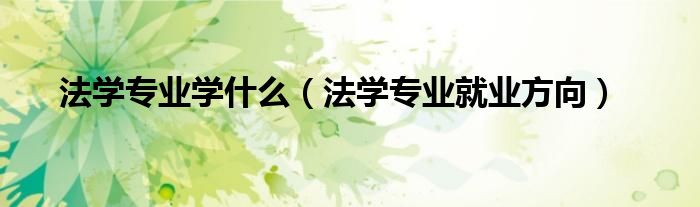 法学专业学什么（法学专业就业方向）