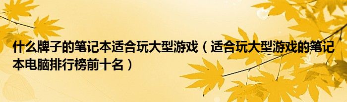 什么牌子的笔记本适合玩大型游戏（适合玩大型游戏的笔记本电脑排行榜前十名）