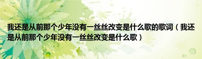 我还是从前那个少年没有一丝丝改变是什么歌的歌词(我还是从前那个少年没有一丝丝改变是什么歌)