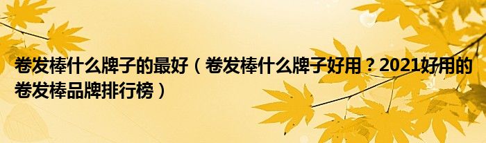 卷发棒什么牌子的最好（卷发棒什么牌子好用？2021好用的卷发棒品牌排行榜）