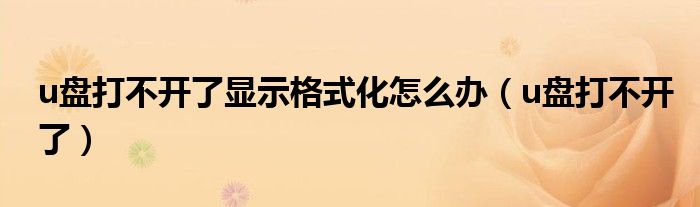 u盘打不开了显示格式化怎么办（u盘打不开了）