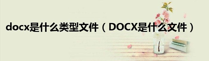 docx是什么类型文件（DOCX是什么文件）