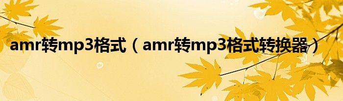 amr转mp3格式（amr转mp3格式转换器）