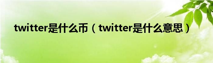 twitter是什么币（twitter是什么意思）
