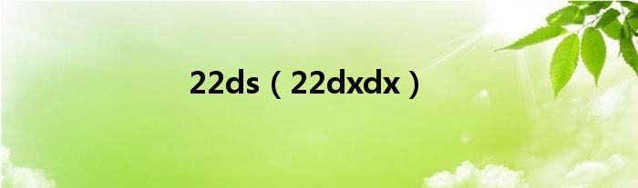 22ds（22dxdx）