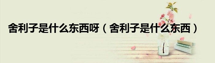 舍利子是什么东西呀（舍利子是什么东西）