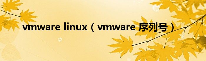 vmware linux（vmware 序列号）