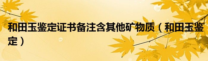 和田玉鉴定证书备注含其他矿物质（和田玉鉴定）
