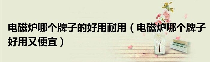 电磁炉哪个牌子的好用耐用（电磁炉哪个牌子好用又便宜）