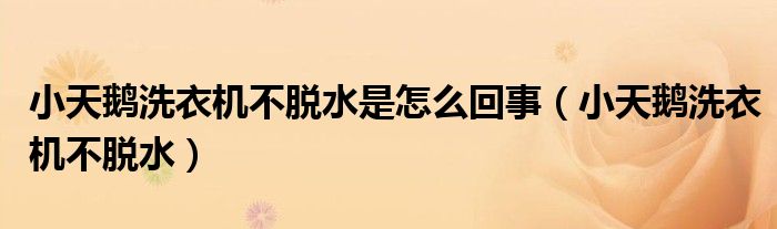小天鹅洗衣机不脱水是怎么回事（小天鹅洗衣机不脱水）