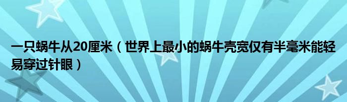 一只蜗牛从20厘米（世界上最小的蜗牛壳宽仅有半毫米能轻易穿过针眼）