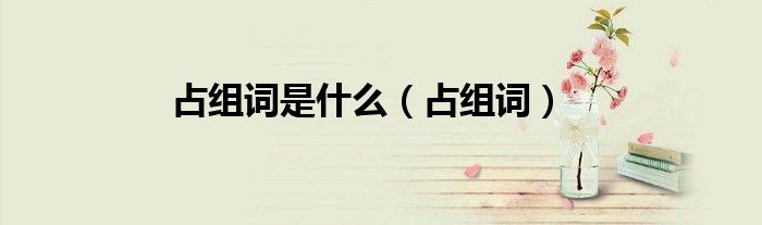 占组词是什么（占组词）
