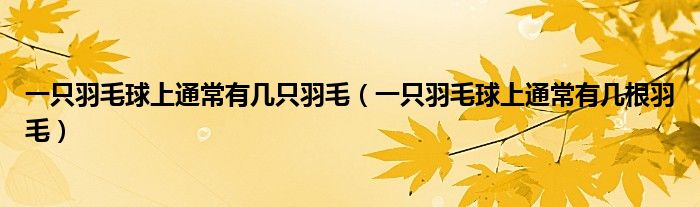 一只羽毛球上通常有几只羽毛（一只羽毛球上通常有几根羽毛）