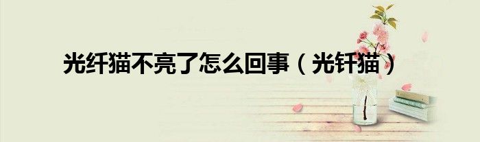 光纤猫不亮了怎么回事（光钎猫）