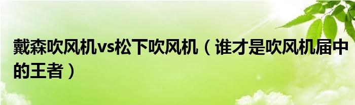 戴森吹风机vs松下吹风机（谁才是吹风机届中的王者）