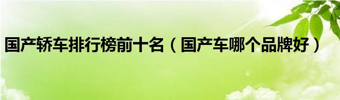 国产轿车排行榜前十名（国产车哪个品牌好）