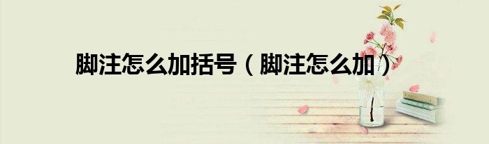 脚注怎么加括号（脚注怎么加）