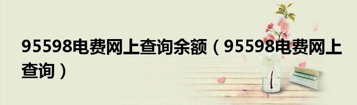 95598电费网上查询余额（95598电费网上查询）