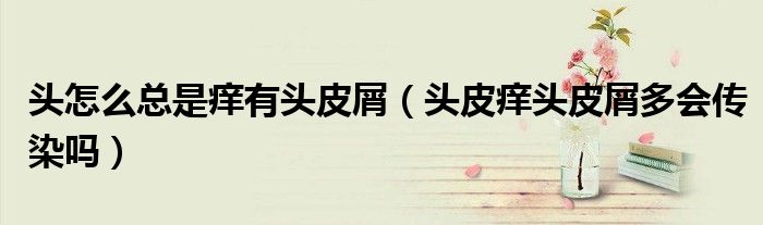头怎么总是痒有头皮屑（头皮痒头皮屑多会传染吗）