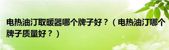 电热油汀取暖器哪个牌子好？（电热油汀哪个牌子质量好？）
