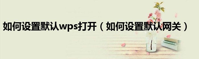 如何设置默认wps打开（如何设置默认网关）